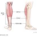 피어나필라테스 - 광명시 하안로288번길 19 | 피어나필라테스