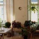 나만의 플랜테리어 이미지