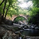 지리산산청와송 | [순천] 선암사