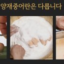 찬해원 이미지
