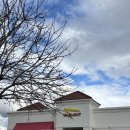 인아웃 | [미국/서부 여행 필수 코스] In-N-Out Burger (인앤아웃 버거) 후기