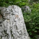 신사-113 이미지