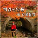 백양사 주차장 화장실 이미지