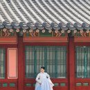 영도주단 이미지