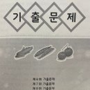 손해평가사 1차 - 재배학 및 원예작물학 | 손해평가사 1차 농학개론 재배학 및 원예작물학 98회(8회기출문제#59)