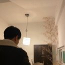 메이렌뷰티샵 | 나무향 가득한 대전 오류동 카페 너무 좋다~