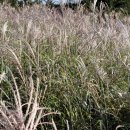 토산농장 이미지