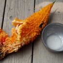 여주-0803 Daum카페