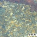 구의아리수정수센터 네이버블로그