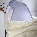 방광회관 | (댕댕학교) 강아지 손님왔을때 안정시키는 방법, 흥분 강아지, 짖는개, 반려견 하우스 방법, 화장실...