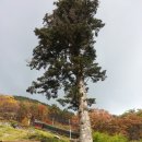 진주외국어고등학교 이미지