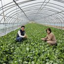 진설초해(주) 이미지