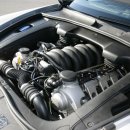 스포르텍 이미지