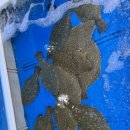 대포대게활어회마트 이미지