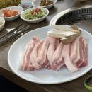 산야초원숯불갈비 | 독산동 고기집 초원숯불갈비 생삼겹살 3+1 가성비 대만족 후기⁠