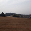 장성잔디생산자영농법인 이미지