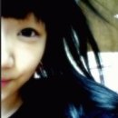 다오셤 이미지