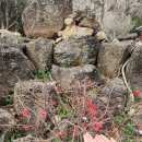 해보는집 | 전주점잘보는집 후기