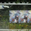 마가미술관 이미지