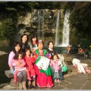 천지연폭포 이미지