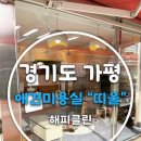 띠울 애견미용 이미지