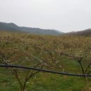 낙원농장2 이미지