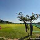 황룡 파크골프장 A 이미지