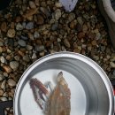 하조민박 이미지