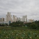 경수대로976번길 이미지