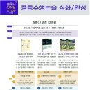문해력 글쓰기 | [괭주펭귄독서논술/솔루니] 중학생 수행평가, 문해력과 글쓰기에서 갈립니다