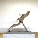 조록나무 뿌리 형상물 이미지