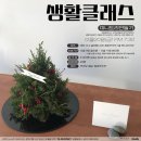 클래스트리