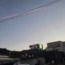 이채모텔 | 코리아둘레길 105회 20260106 남파랑길 81,82코스 마량항에서 강진 구목리교서쪽까지