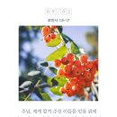 가정중앙시장(2) 이미지