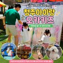 물놀이 감시 | 청주아이랑갈만한곳 오카키즈, 하루 종일 놀다 온 청주키즈카페