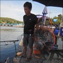 말봉바다낚시터 이미지