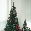 세븐일레븐전주덕진기린대로점 | 전북대 근처 이색 취미💪 폴댄스 3-4회차 후기, 오하운폴댄스학원 전주덕진점