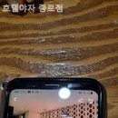 호텔 야자(종로점) 이미지