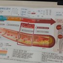 봉황한의원 네이버블로그