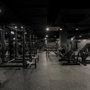 상주 ×/수업료45~65% /영짐(YOUNG GYM)의 같이 성장해나갈 수 있는 트레이너를 구합니다. 이미지