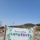 초록농장 | 포항 북구 주말농장 - 초록마실 주말농장, 가격, 평수, 위치