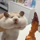 냠냠