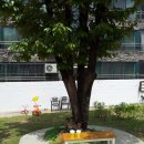 카페더아로마 이미지