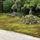 다인 앞 이미지