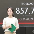 원엔터 이미지
