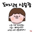 메이저피트니스 이미지
