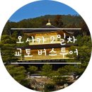 몽실방 | 오사카 가족여행 2일차 | 교토 버스투어 내돈내산 후기(With. 하루하루투어)