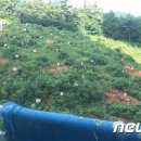 해남공원 앞 이미지