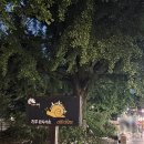 대성대여소 이미지