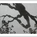 선미회관 이미지